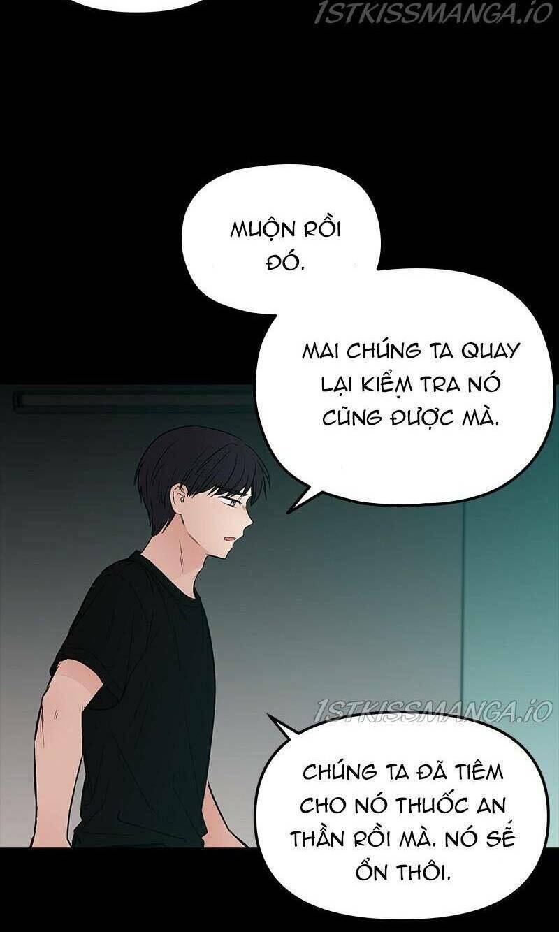 BưƠM BưỚM Và MáU Chương 58 Ảnh 79