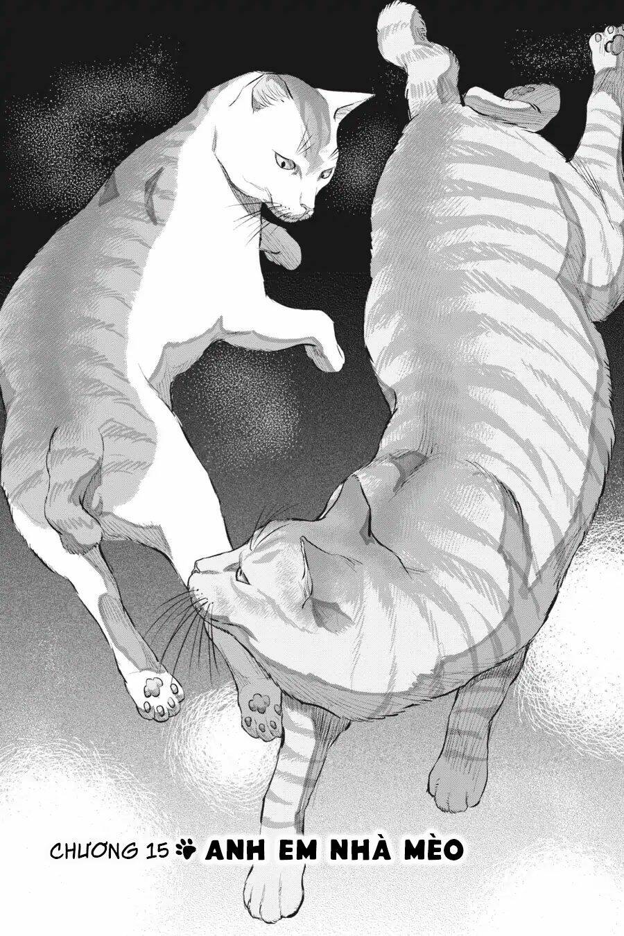 Nyankees Chương 15 Ảnh 3