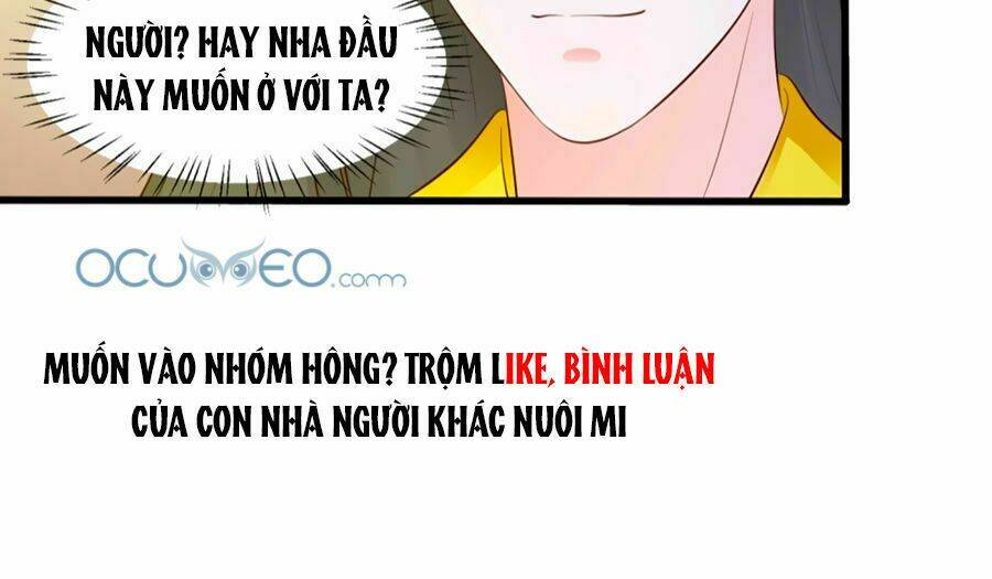 Bệ Hạ! Dưa Hái Xanh Không Ngọt Chương 3 Ảnh 32