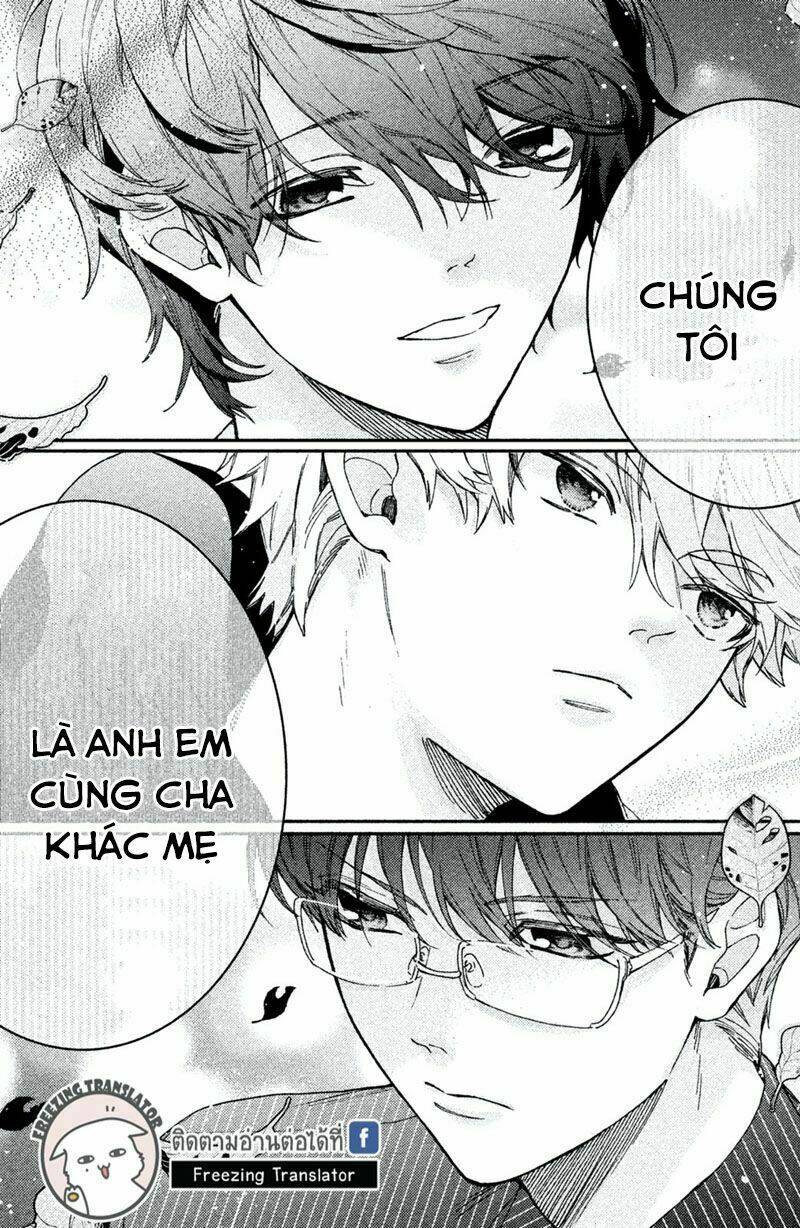 Phu Nhân Của Yakuza Chương 7 Ảnh 37