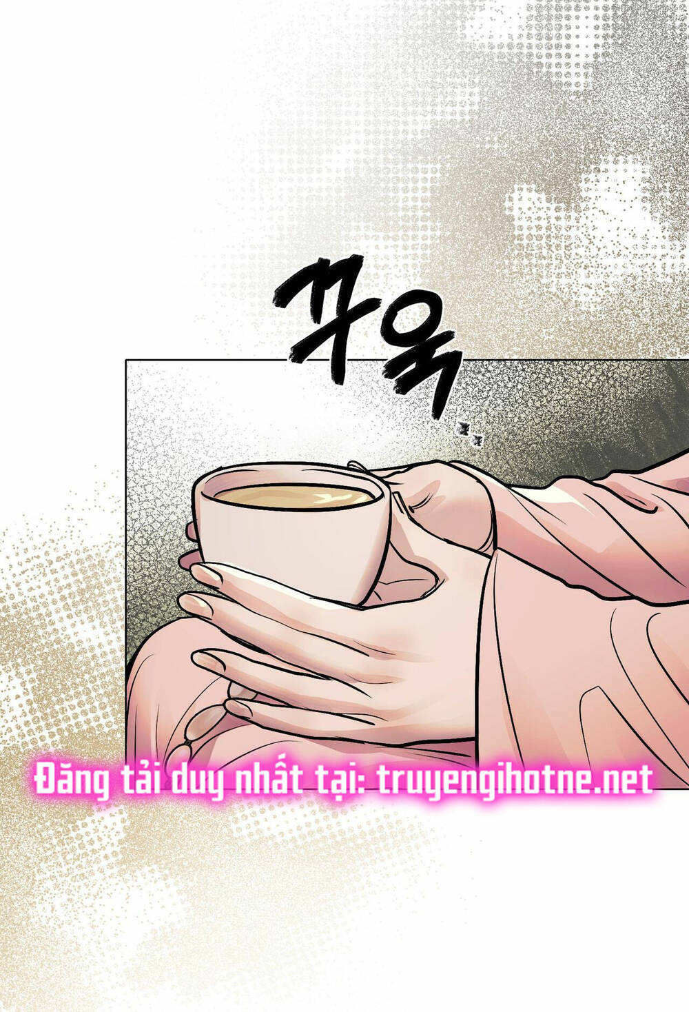 Một Nửa Không Hoàn Hảo Chương 33.2 Ảnh 39
