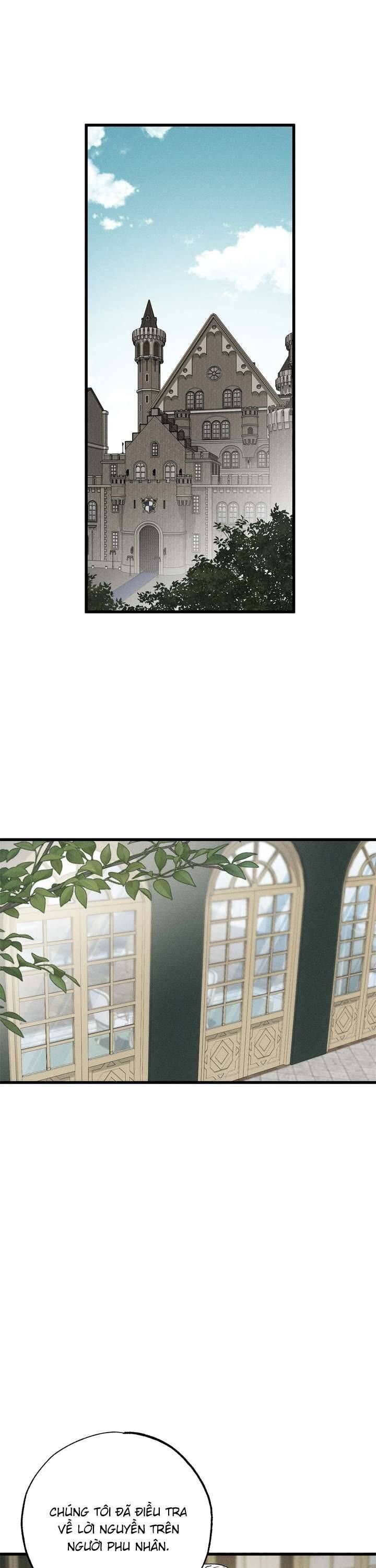 Vị Phu Quân Căm Ghét Tôi Đã Mất Trí Nhớ Chương 71 Ảnh 31