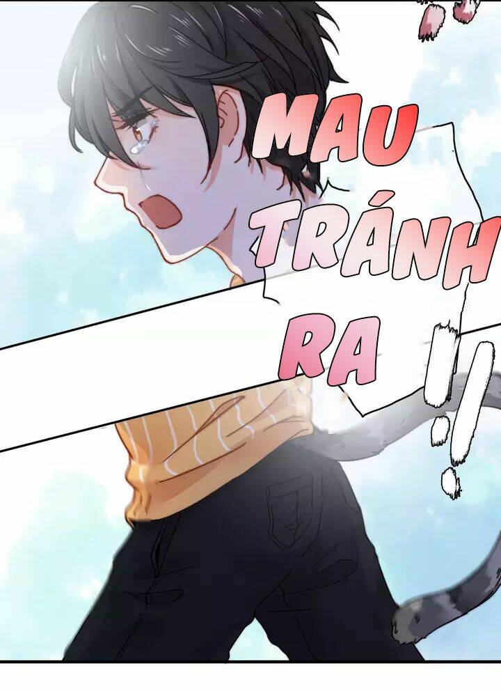 Thập Quang Mật Ngữ Chương 11 Ảnh 6