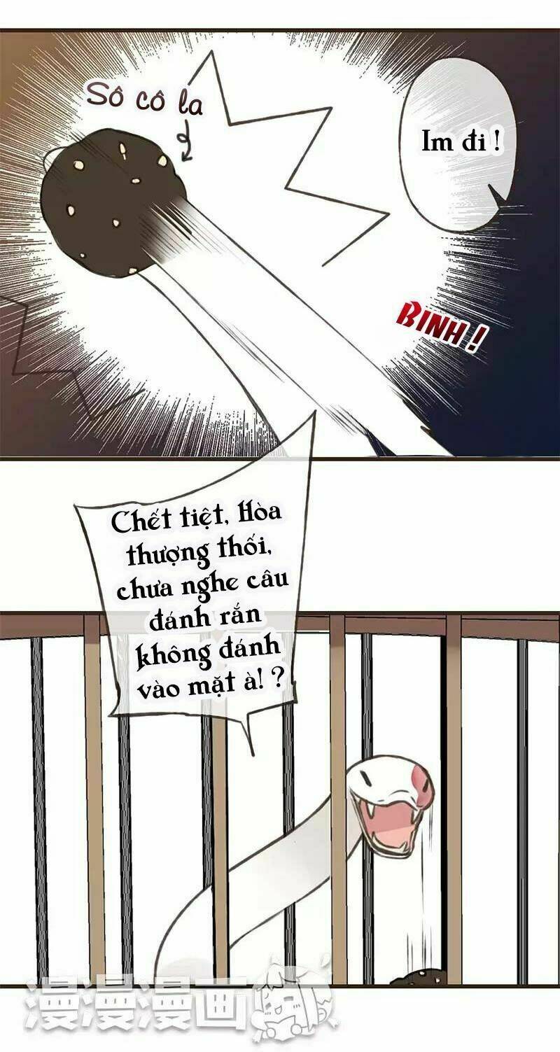 Trên Trời Rớt Xuống Một Hòa Thượng Ngốc Chương 40 Ảnh 4