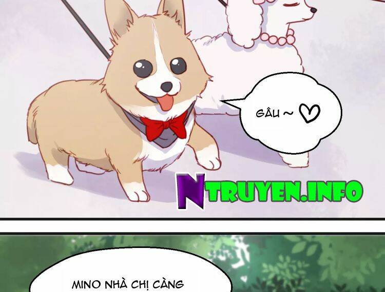 Lượm Được 1 Tiểu Hồ Ly Chương 78 Ảnh 5