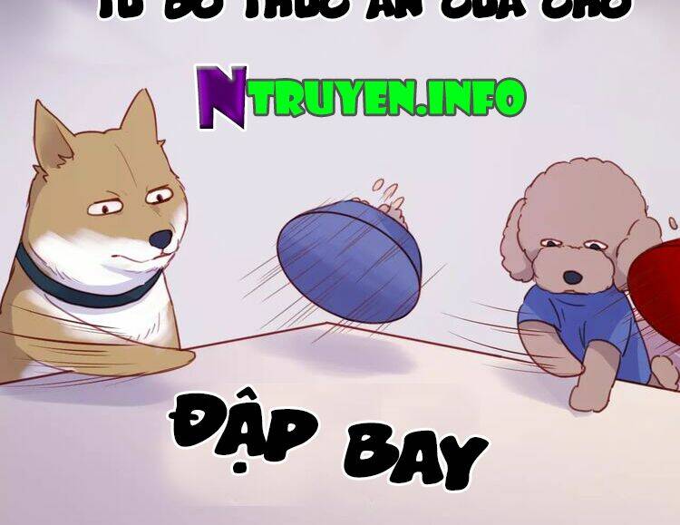 Lượm Được 1 Tiểu Hồ Ly Chương 78 Ảnh 29