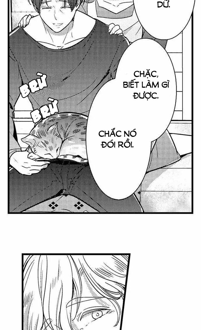 Sai Rồi, Sếp Tây Nhà Tôi Không Phải Là Quý Ông Đâu! Chương 92 Ảnh 21