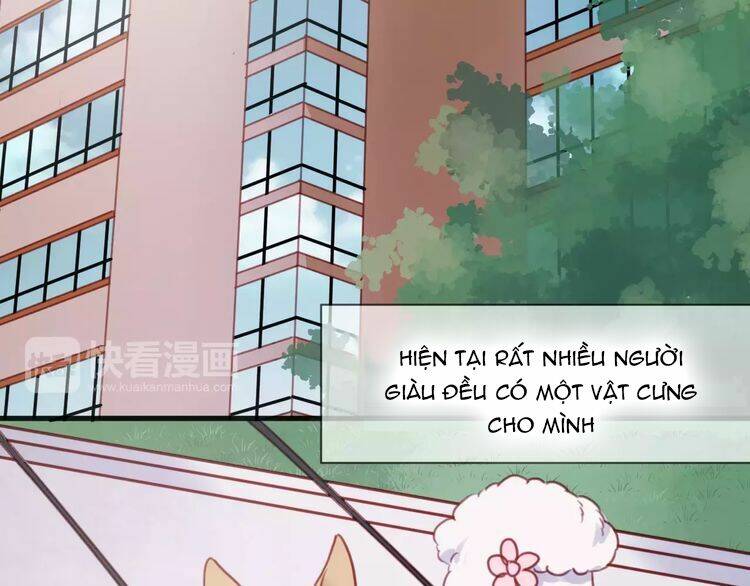 Lượm Được 1 Tiểu Hồ Ly Chương 78 Ảnh 4