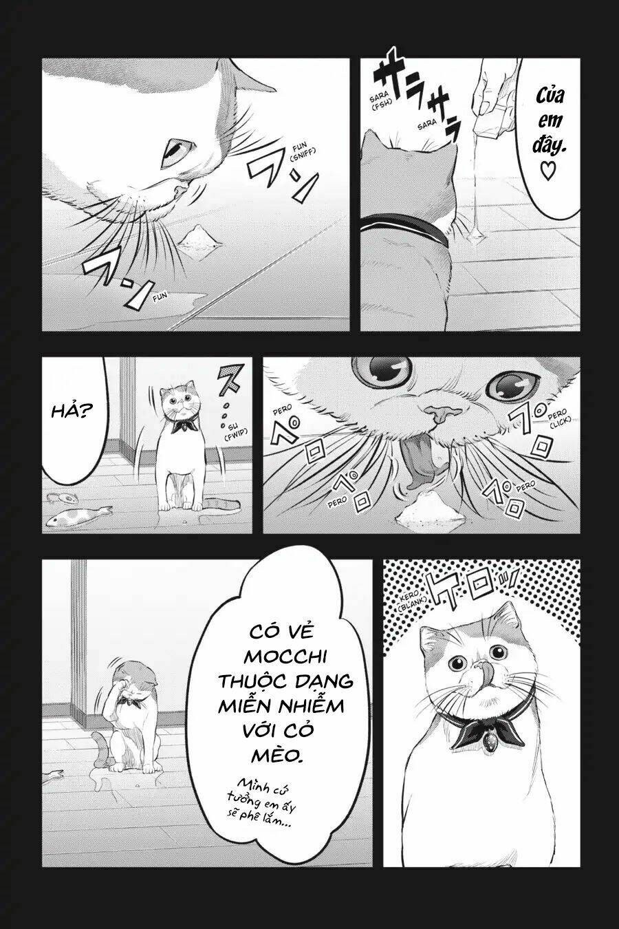 Nyankees Chương 14 Ảnh 21