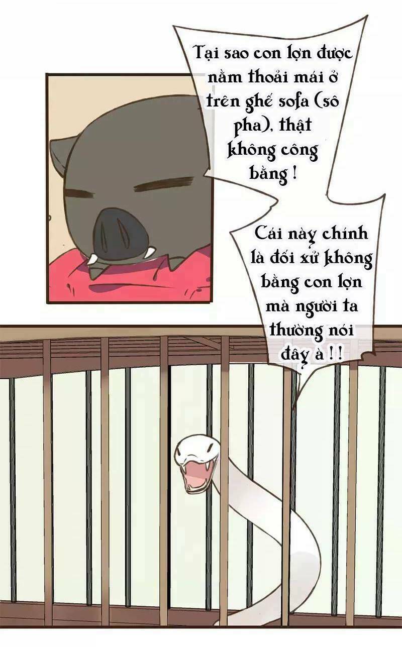 Trên Trời Rớt Xuống Một Hòa Thượng Ngốc Chương 38 Ảnh 38