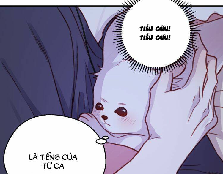 Lượm Được 1 Tiểu Hồ Ly Chương 76 Ảnh 21
