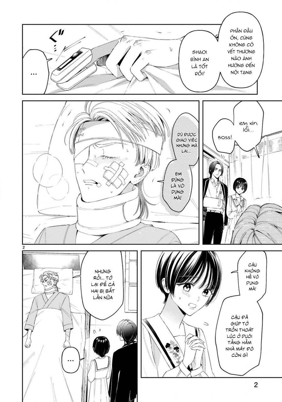 Sewayaki Mafia To Hakkou Shoujo Chương 12 Ảnh 5
