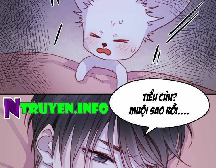 Lượm Được 1 Tiểu Hồ Ly Chương 76 Ảnh 25