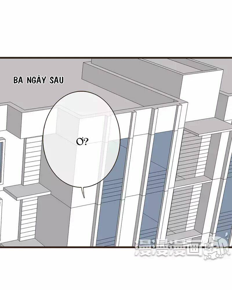 Trên Trời Rớt Xuống Một Hòa Thượng Ngốc Chương 47 Ảnh 3