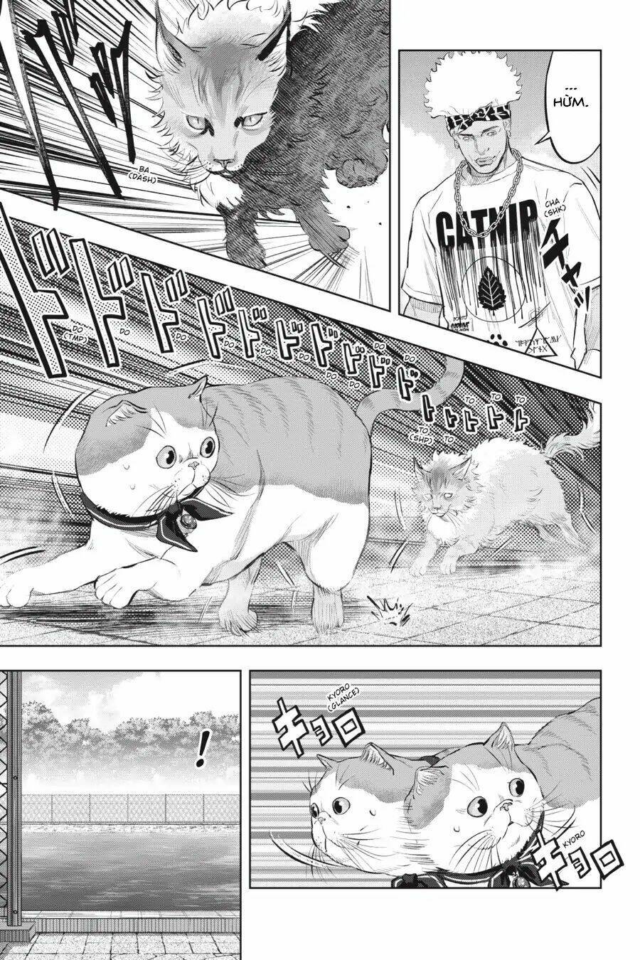 Nyankees Chương 14 Ảnh 29