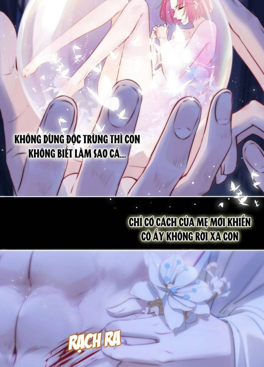 Kim Ốc Tàng Kiều Chương 63 Ảnh 21