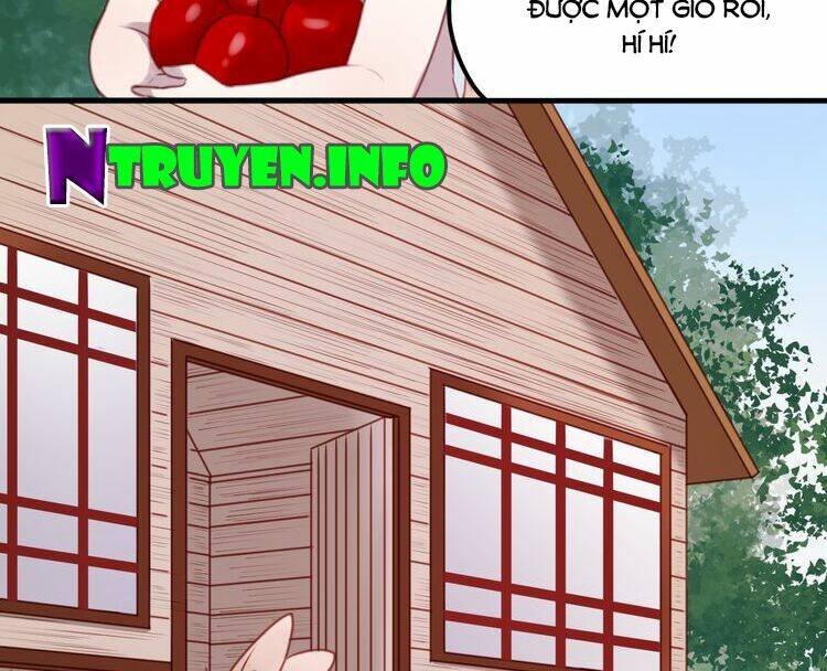 Lượm Được 1 Tiểu Hồ Ly Chương 61 Ảnh 25