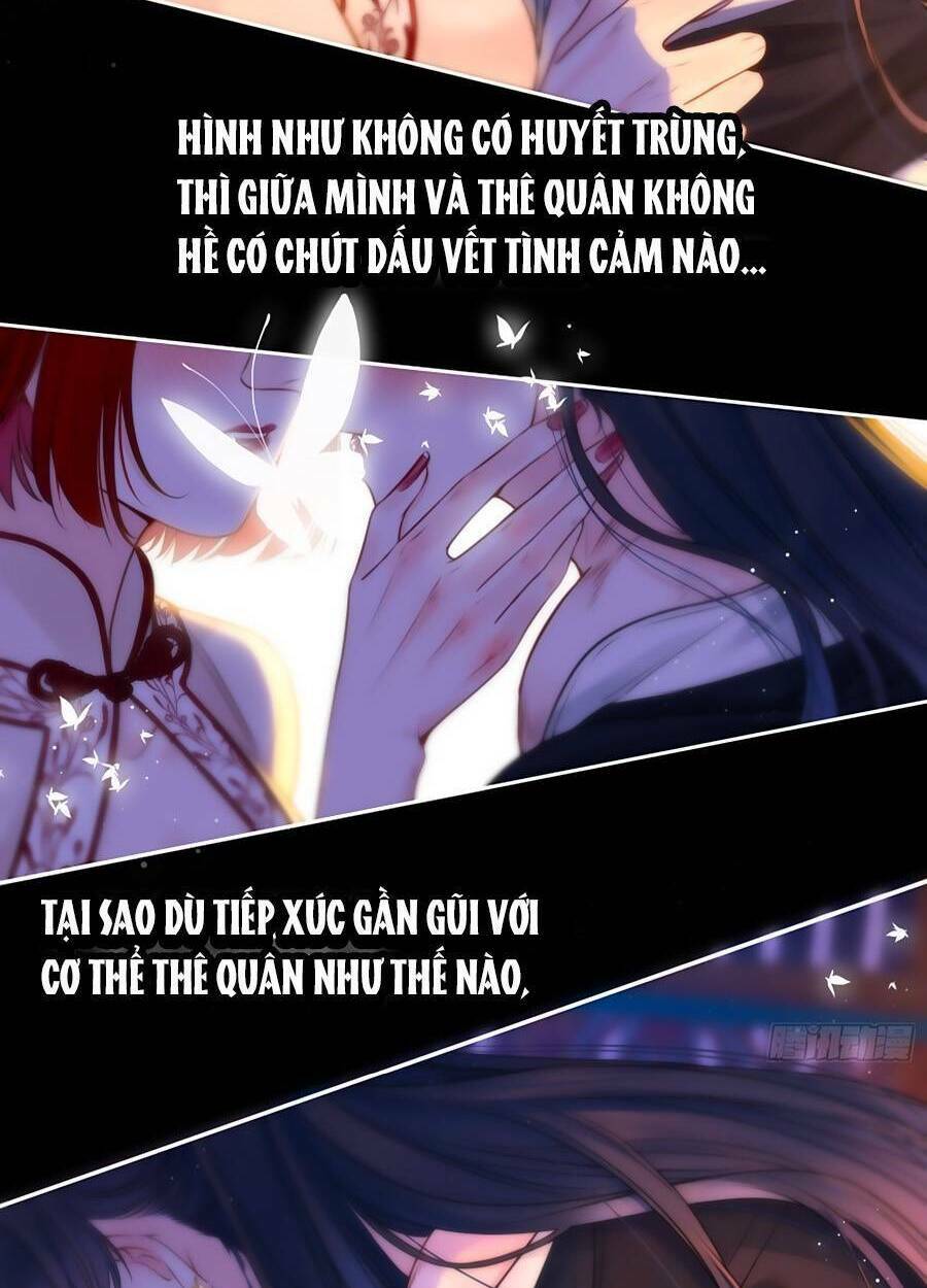 Kim Ốc Tàng Kiều Chương 68 Ảnh 31