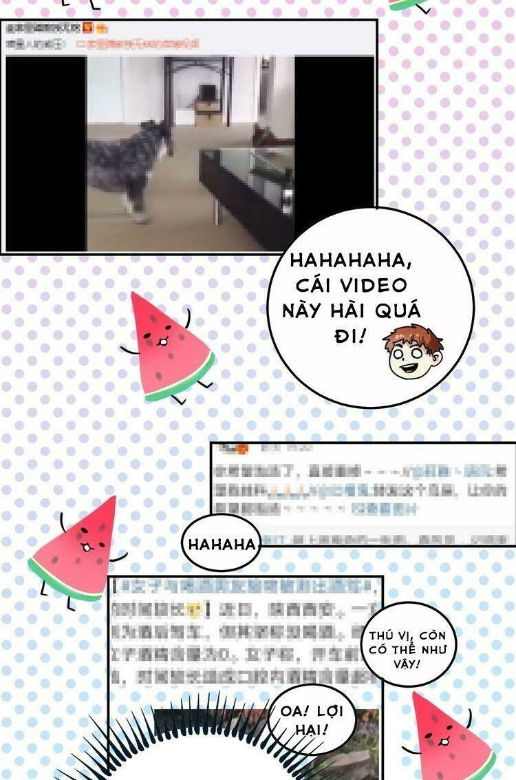 Ta Có Rất Nhiều Thành Tích Chương 18 Ảnh 14