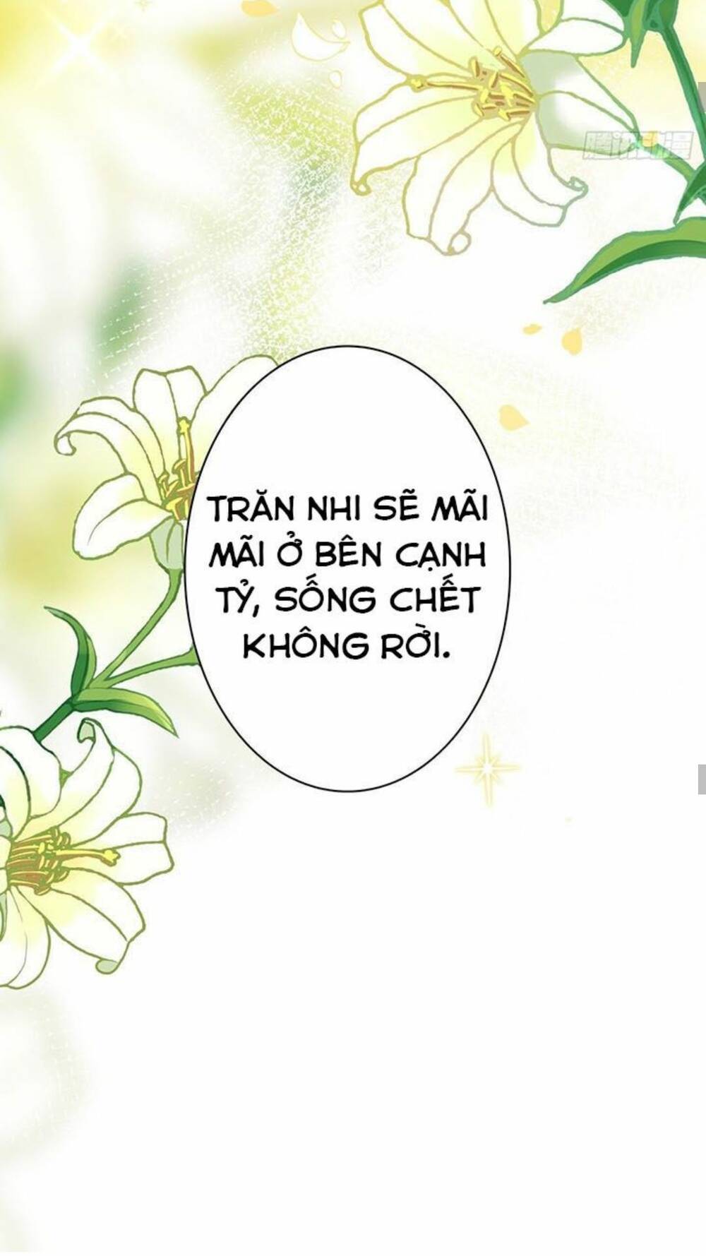 Hậu Cung Ba Ngàn Của Nãi Nãi Chương 13 Ảnh 34
