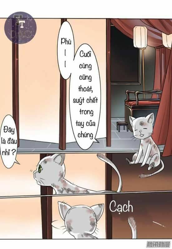 Hoàng Thái Tử, Xin Nhận Nuôi Em! Chương 1 Ảnh 8