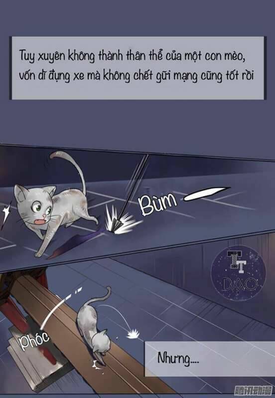 Hoàng Thái Tử, Xin Nhận Nuôi Em! Chương 1 Ảnh 4