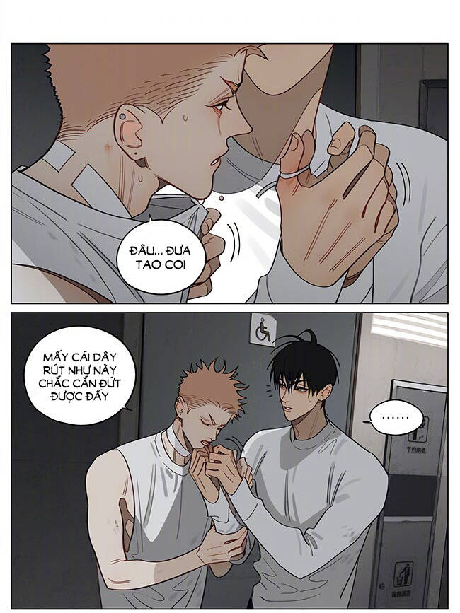 19 Days Chương 551 Ảnh 9