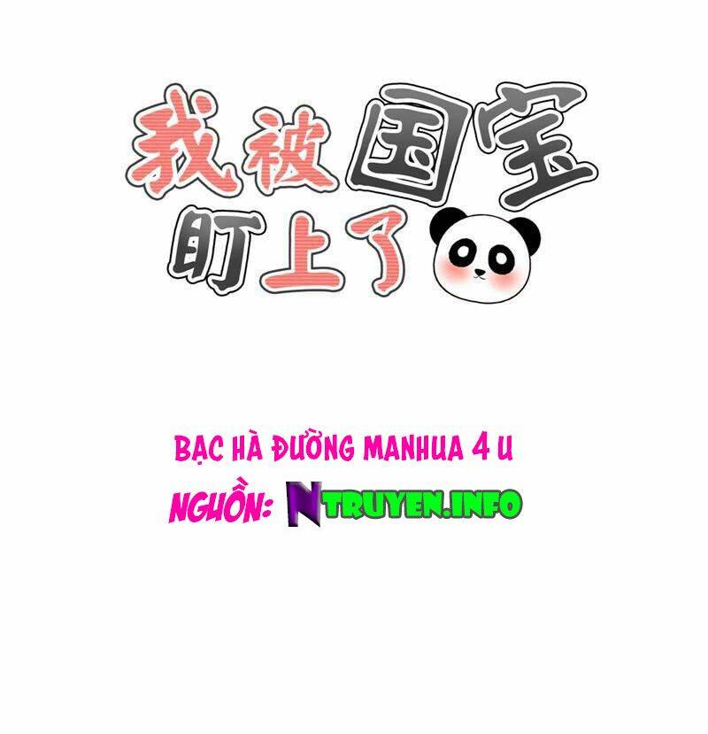 Tôi Bị Gấu Trúc Nhìn Trúng Rồi Chương 20 Ảnh 2