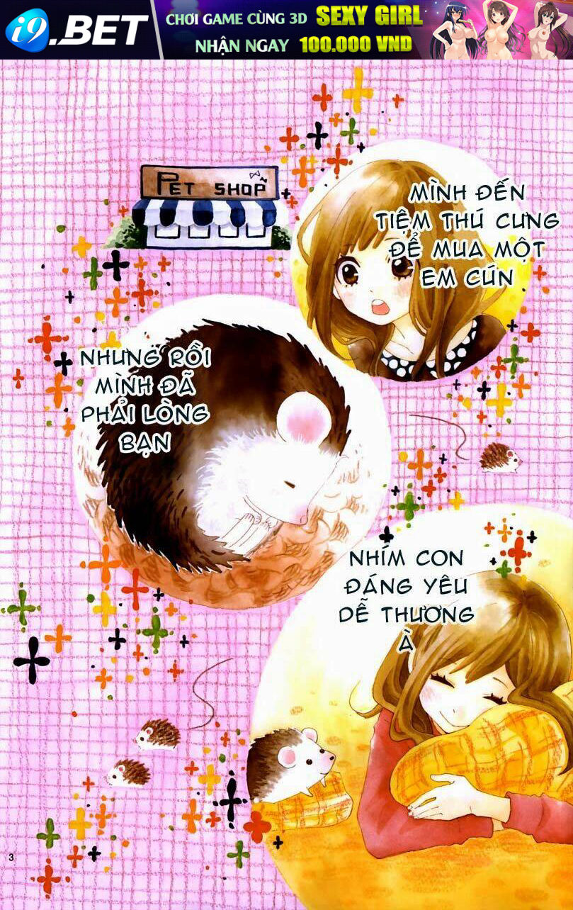 Koisuru Harinezumi Chương 1 Ảnh 5