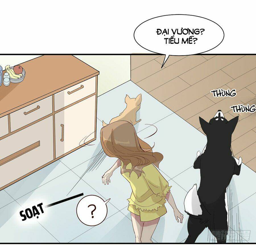 Nguyệt Lão Không Cho Phép Tôi Yêu Đương Chương 3 Ảnh 44