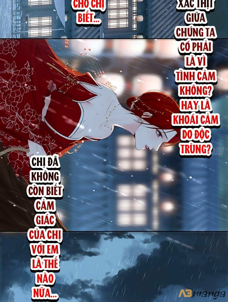 Kim Ốc Tàng Kiều Chương 75 Ảnh 7