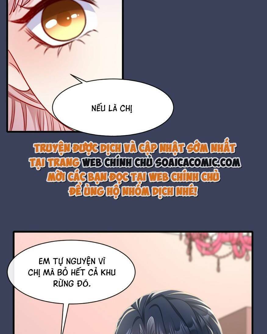 Cô Vợ Thế Thân Của Tổng Tài Chương 11 Ảnh 40