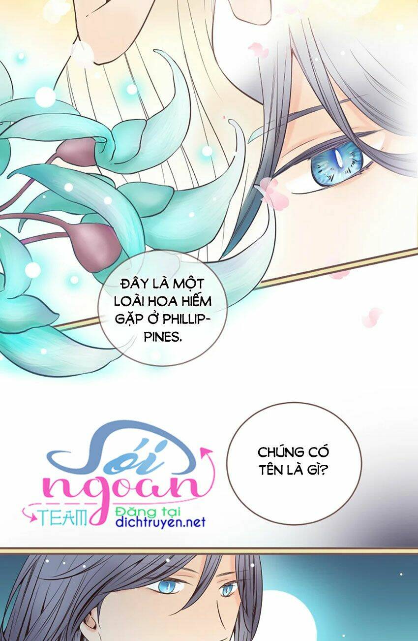 Nàng Persephone Và Chàng Hades Chương 8 Ảnh 50