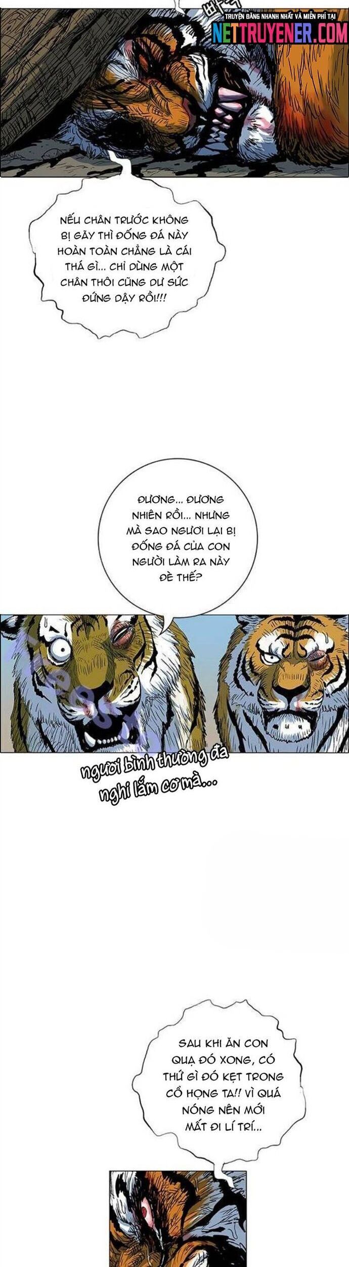 Anh Trai Tôi Là Hổ Chương 86 Ảnh 35