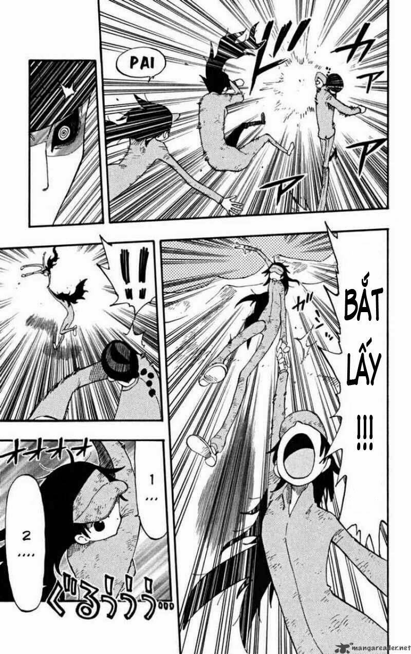 Law Of Ueki Plus Chương 32 Ảnh 8
