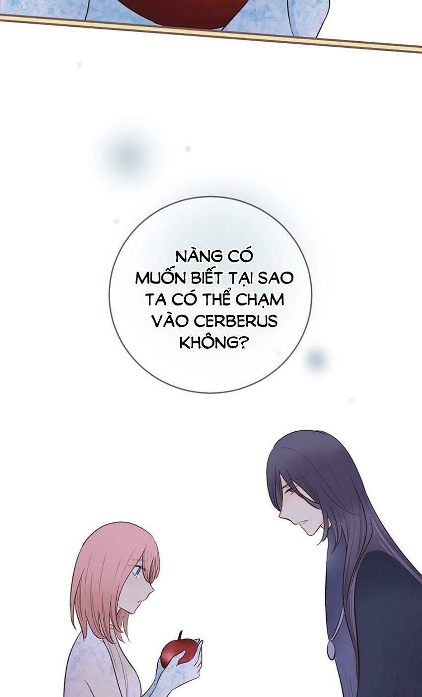 Nàng Persephone Và Chàng Hades Chương 24 Ảnh 18