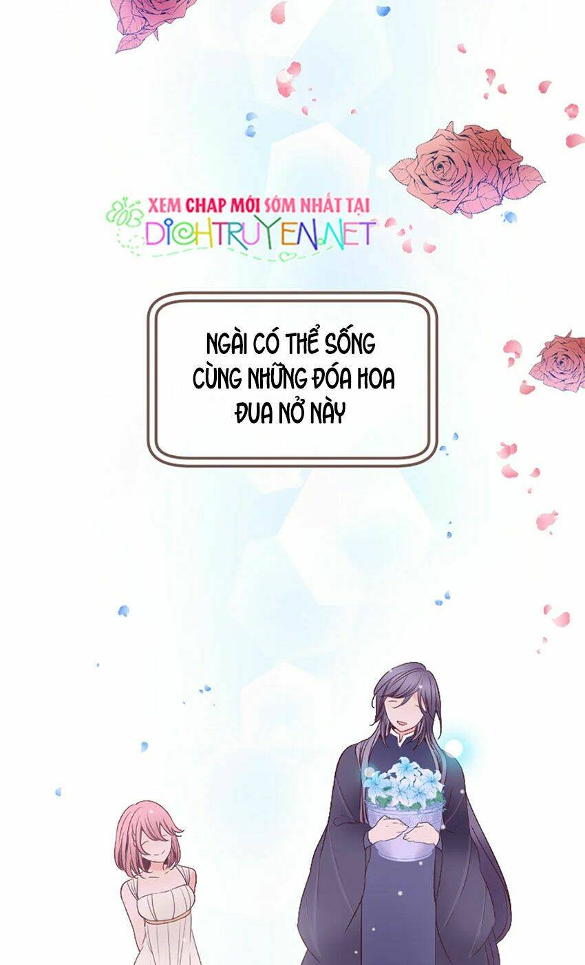 Nàng Persephone Và Chàng Hades Chương 9 Ảnh 50