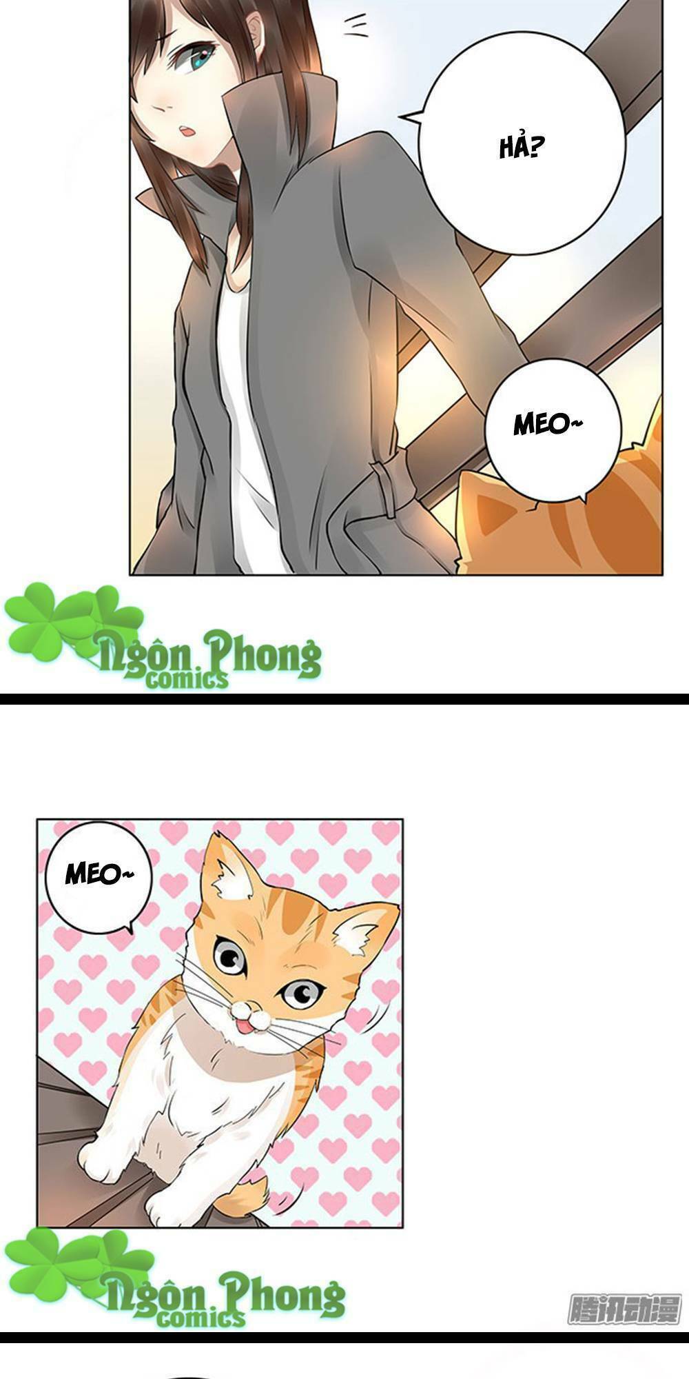 Vũ Hội Thần Bí Chương 6 Ảnh 23