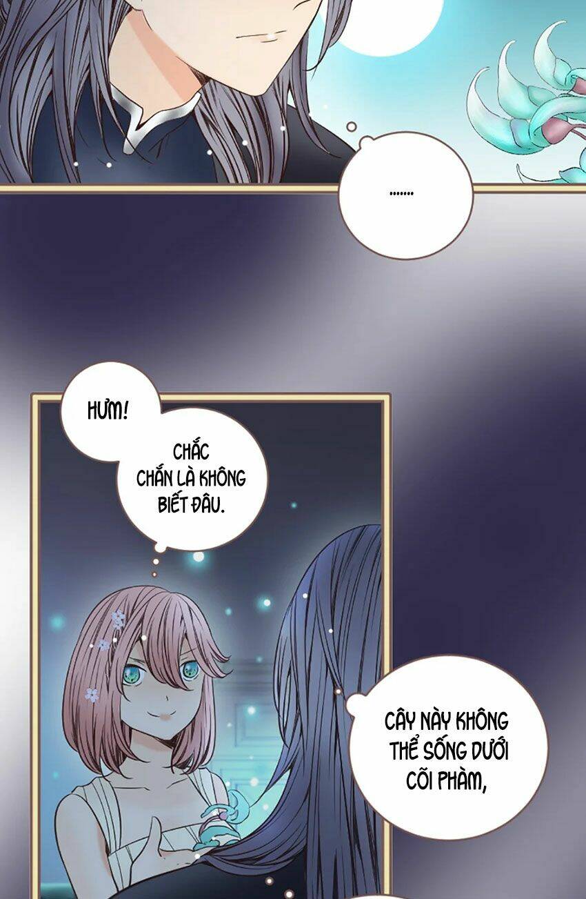 Nàng Persephone Và Chàng Hades Chương 8 Ảnh 51