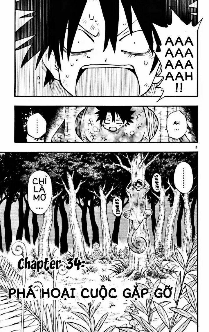 Law Of Ueki Plus Chương 34 Ảnh 6