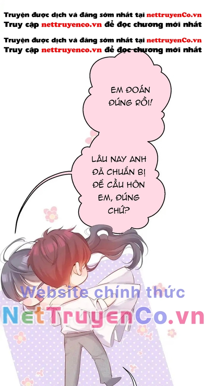 Bảo Vệ Siêu Sao Của Tôi Chương 140 Ảnh 49