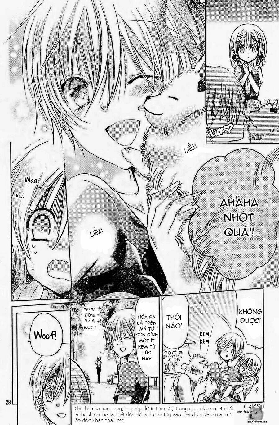 Watashi Ni Xx Shinasai! Chương 55 Ảnh 31