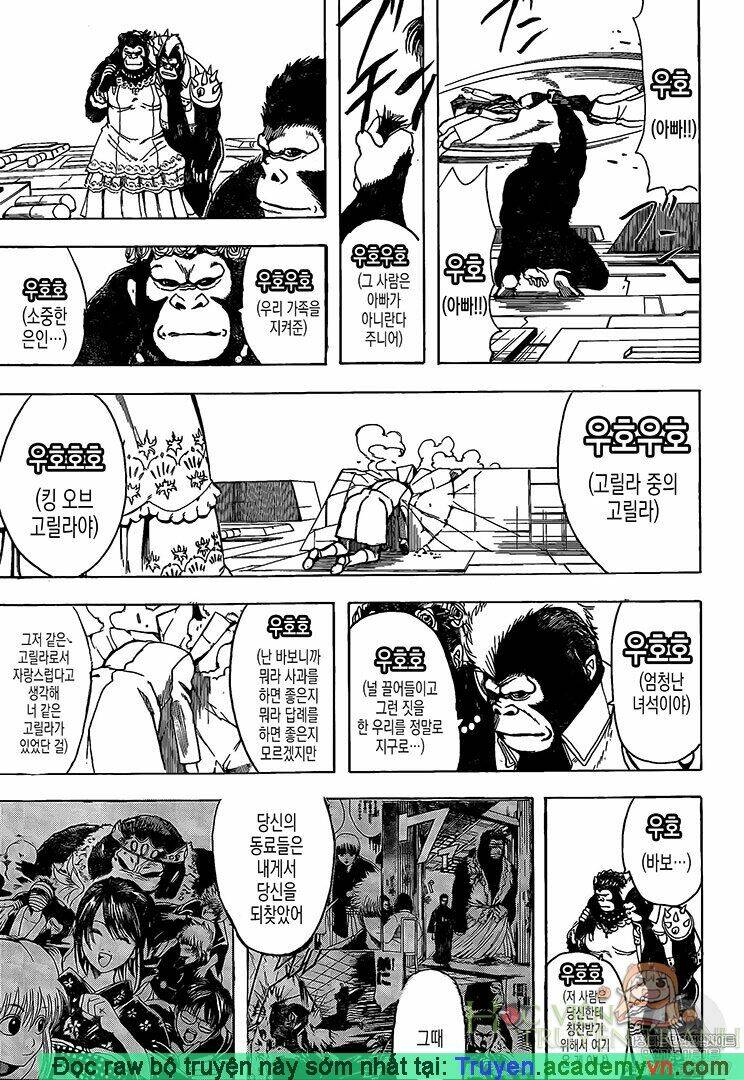 Gintama - Linh Hồn Bạc Chương 695 Ảnh 16