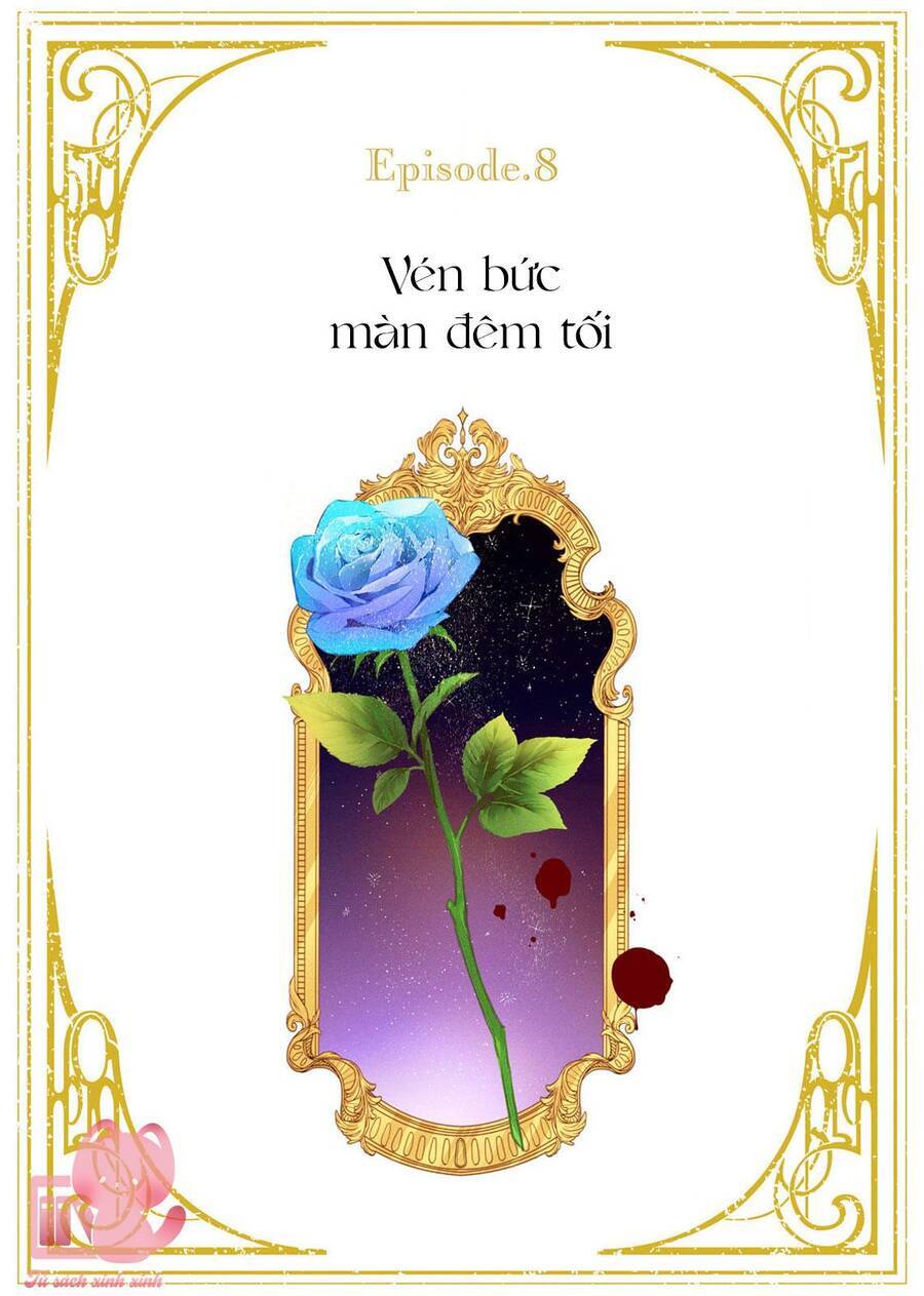 Hoa Hồng Ẩn Giấu Sao Băng Chương 8 Ảnh 6