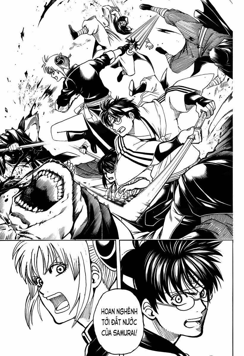 Gintama - Linh Hồn Bạc Chương 699 Ảnh 33