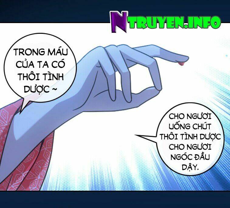 Yêu Phi Bám Lấy Không Buông Chương 3 Ảnh 9