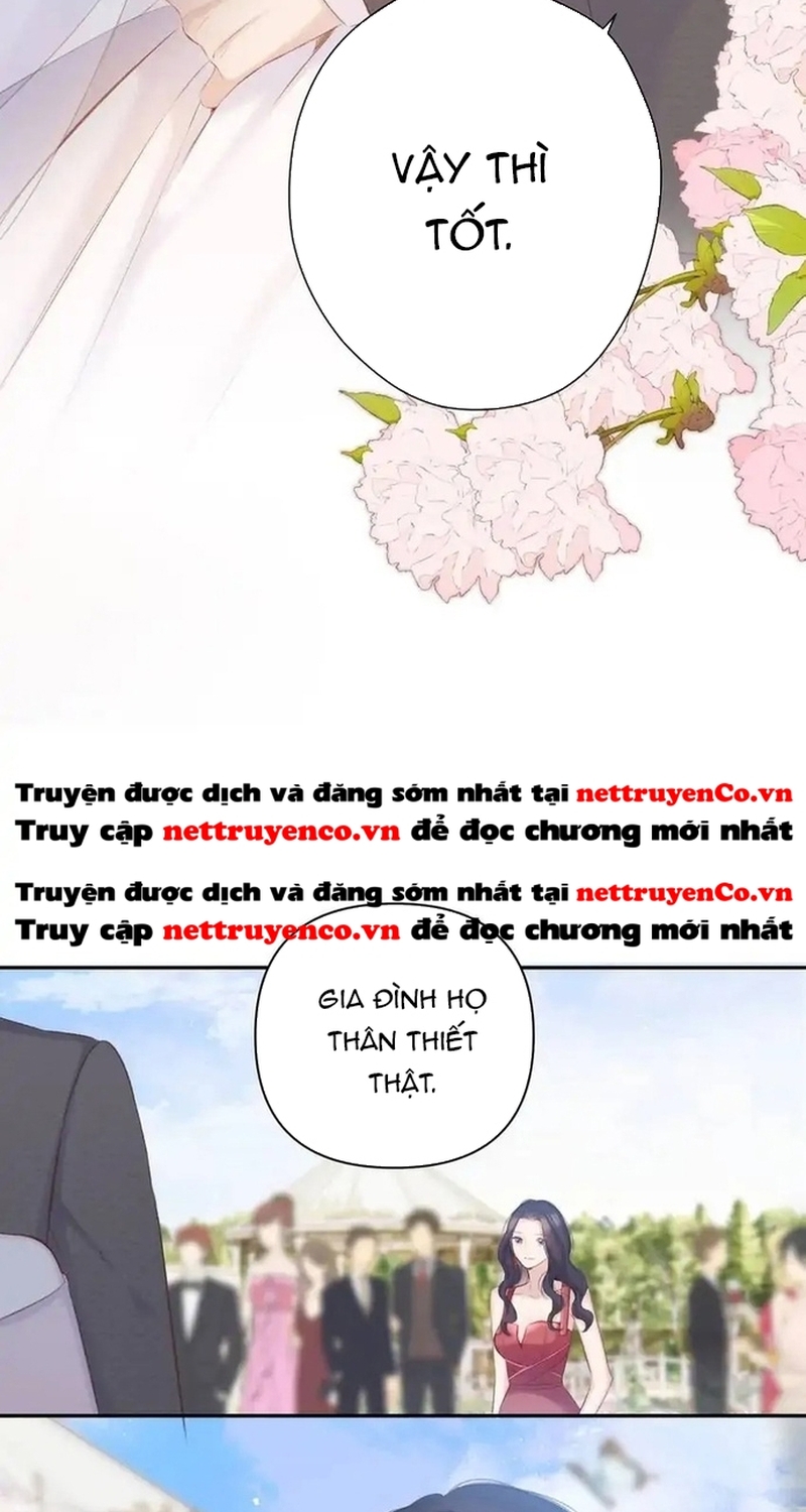 Bảo Vệ Siêu Sao Của Tôi Chương 141 Ảnh 23