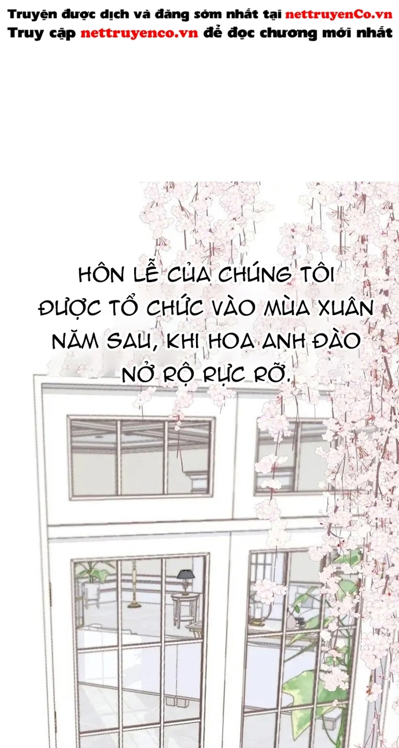 Bảo Vệ Siêu Sao Của Tôi Chương 141 Ảnh 2