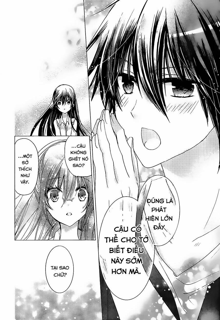 Watashi Ni Xx Shinasai! Chương 66 Ảnh 24