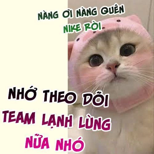 Cách Thức Sinh Tồn Của Pháo Hôi Khuê Nữ Chương 343 Ảnh 28